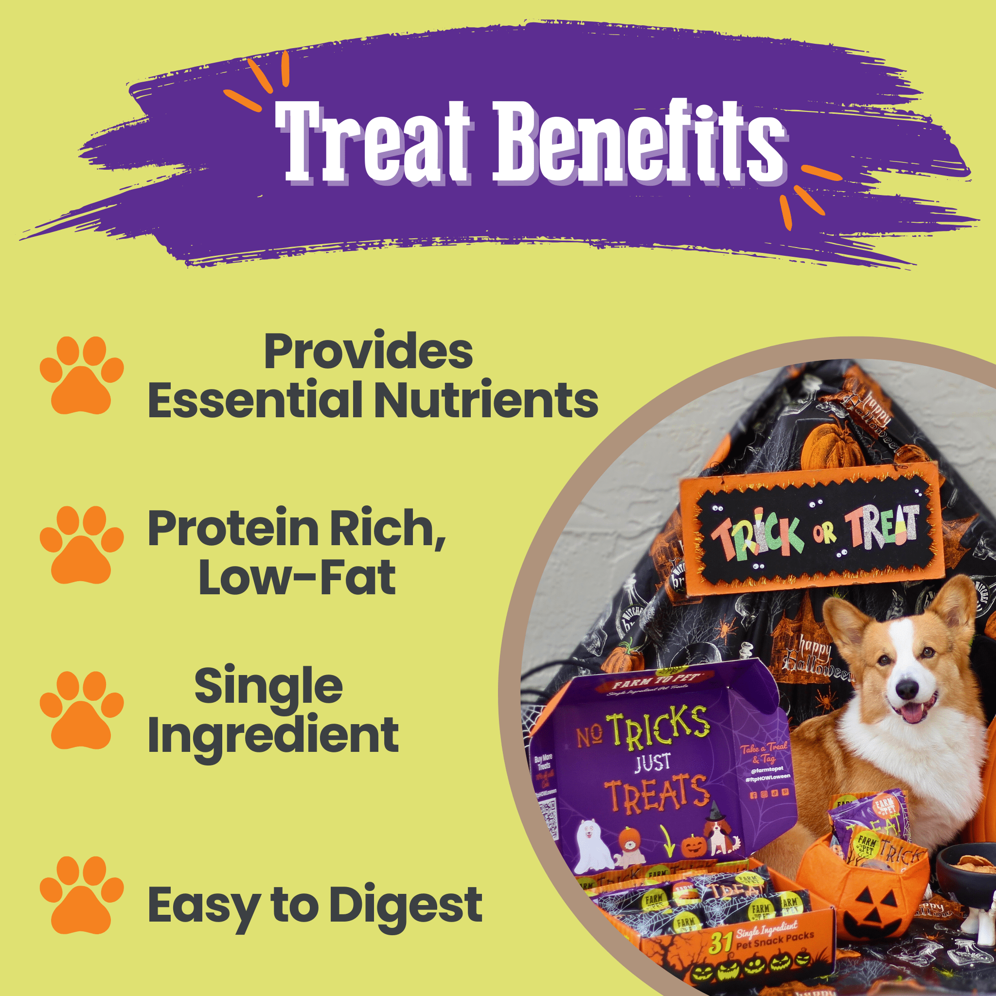 Farmto-pettreats Dog Treat box filled with Dog treats.  The  packaging with a dog and text highlighting benefits on a yellow background. Treat Benefits 