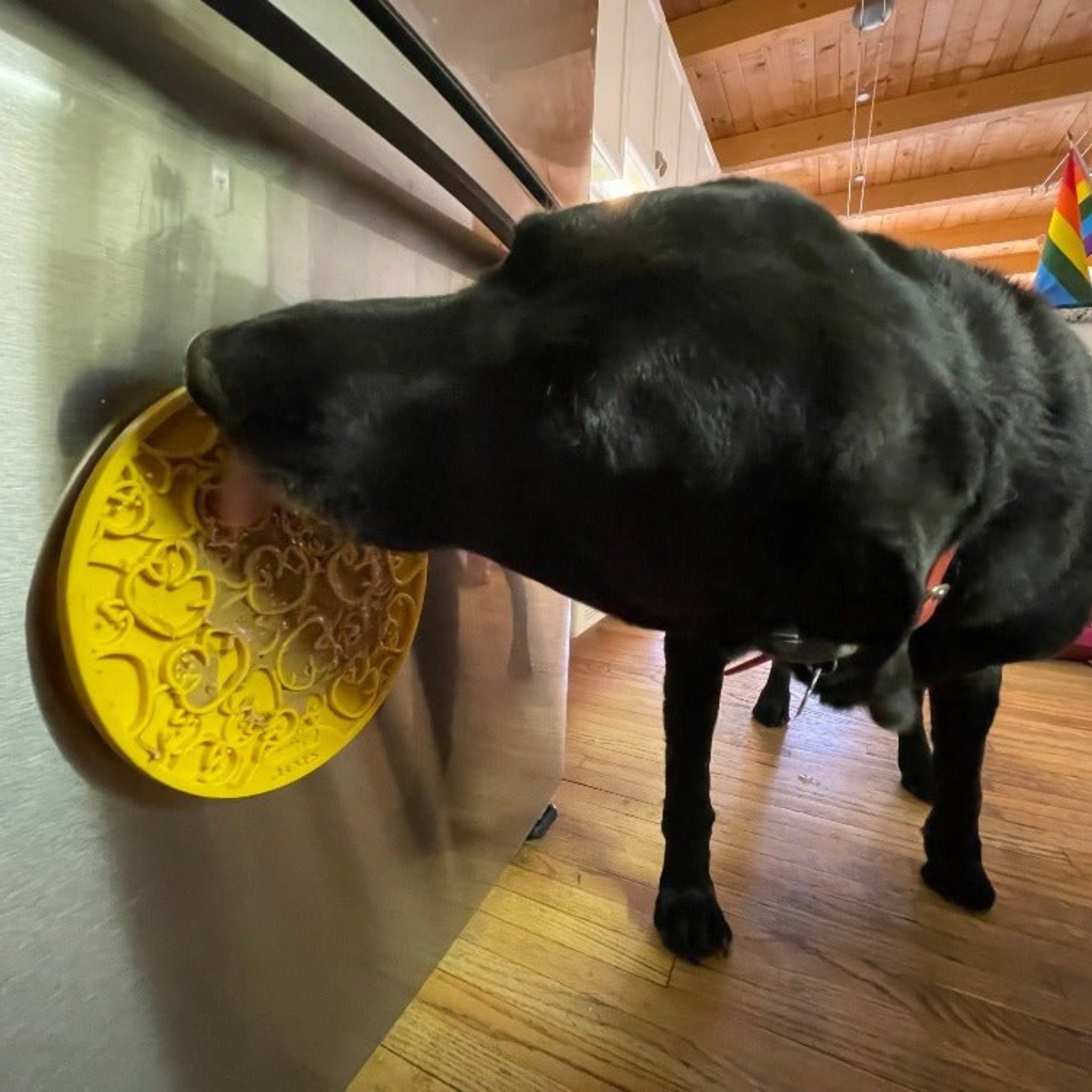 A Black dog licking a Farmto-pettreats Yellow Duck Lick Mat.