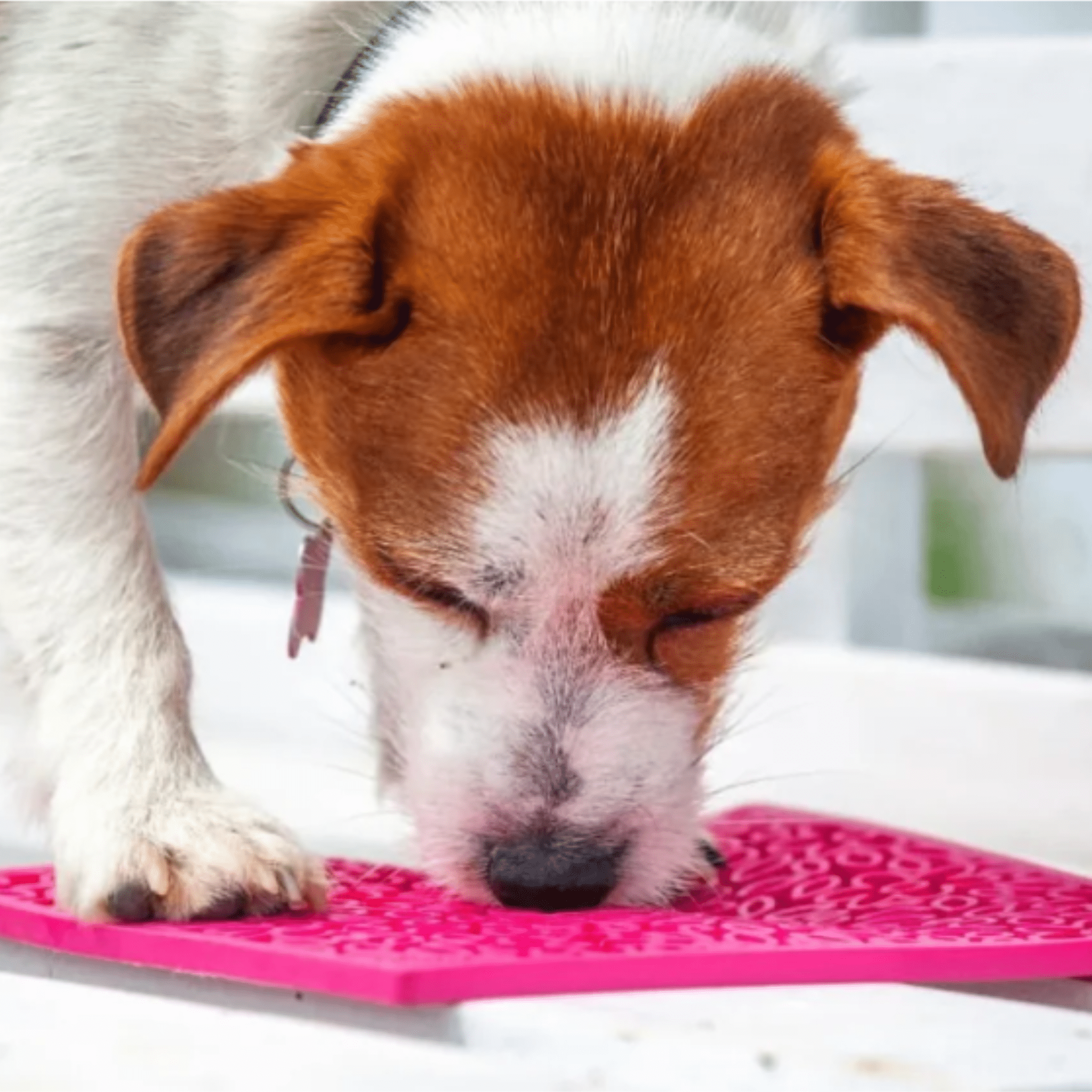 Dog Lick Mat | Flower Power Design