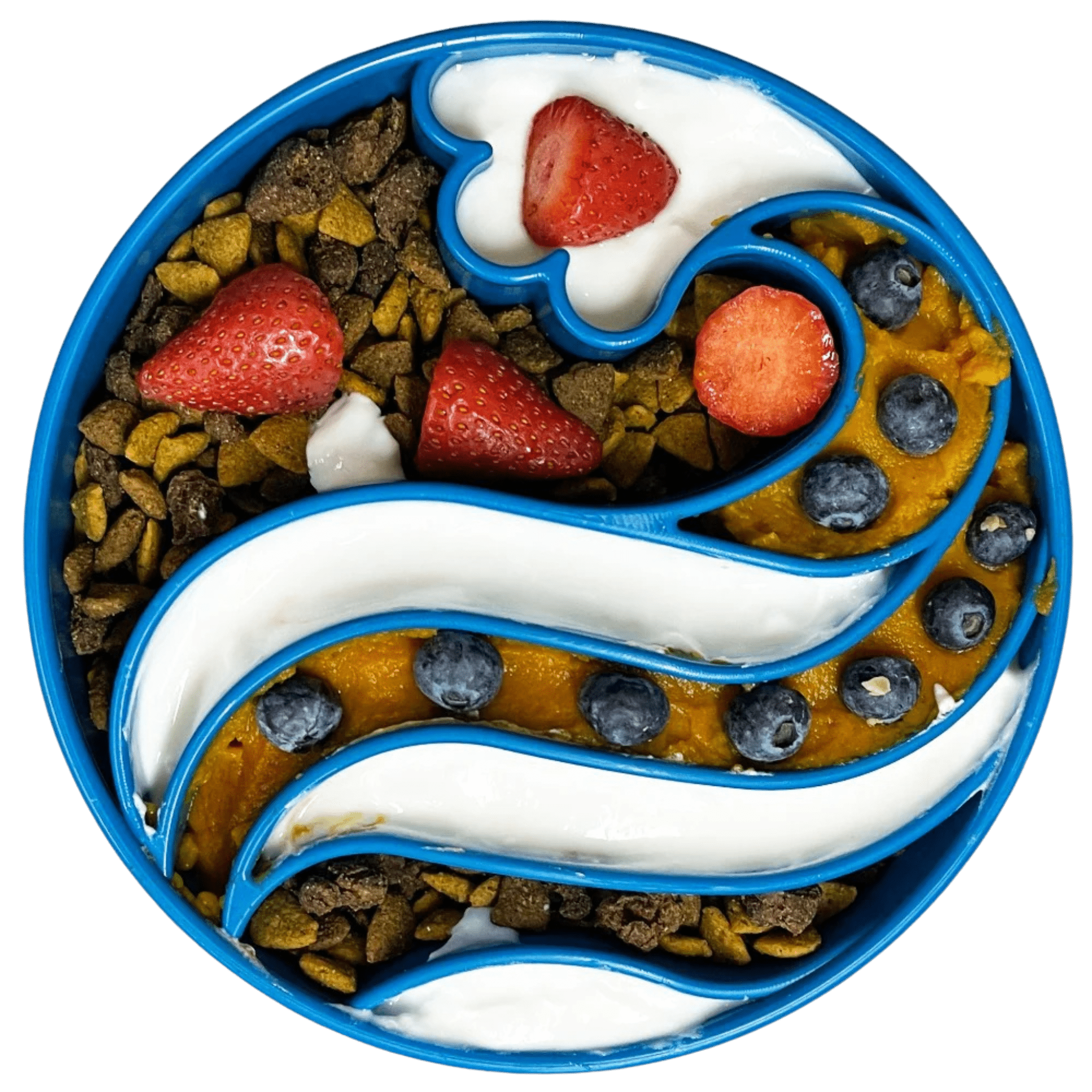 Slow Feeder Dog Bowls