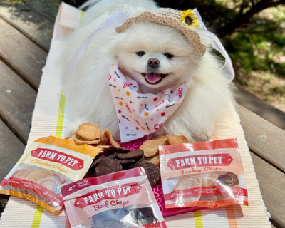 Mochi