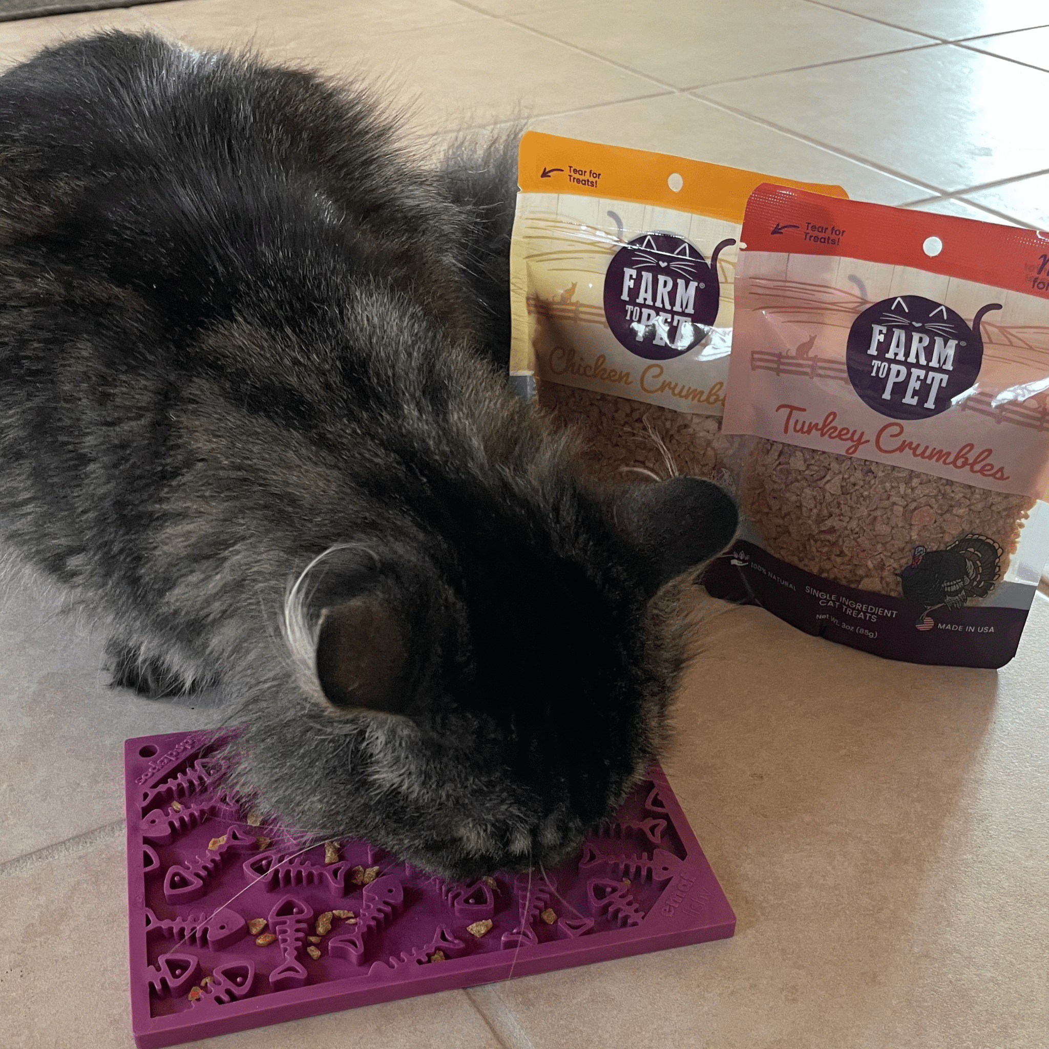 Healthy Cat Treats & Lick Mat Bundle
