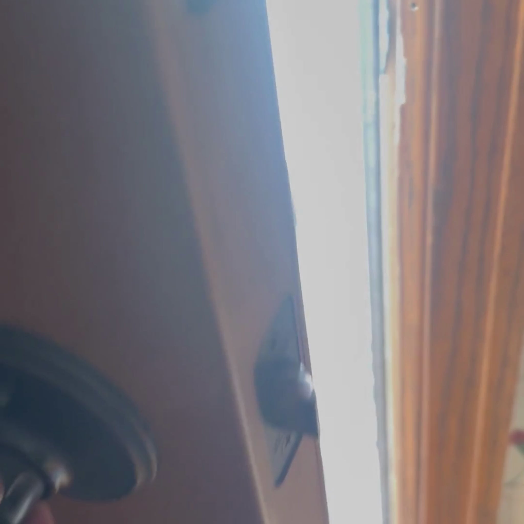  A Video of Two German Shepherds one wearing a Farmto-pettreats Bandana at the front door opening a Farmto-pettreats Halloween 31 Snack Pack Dog Treat Box