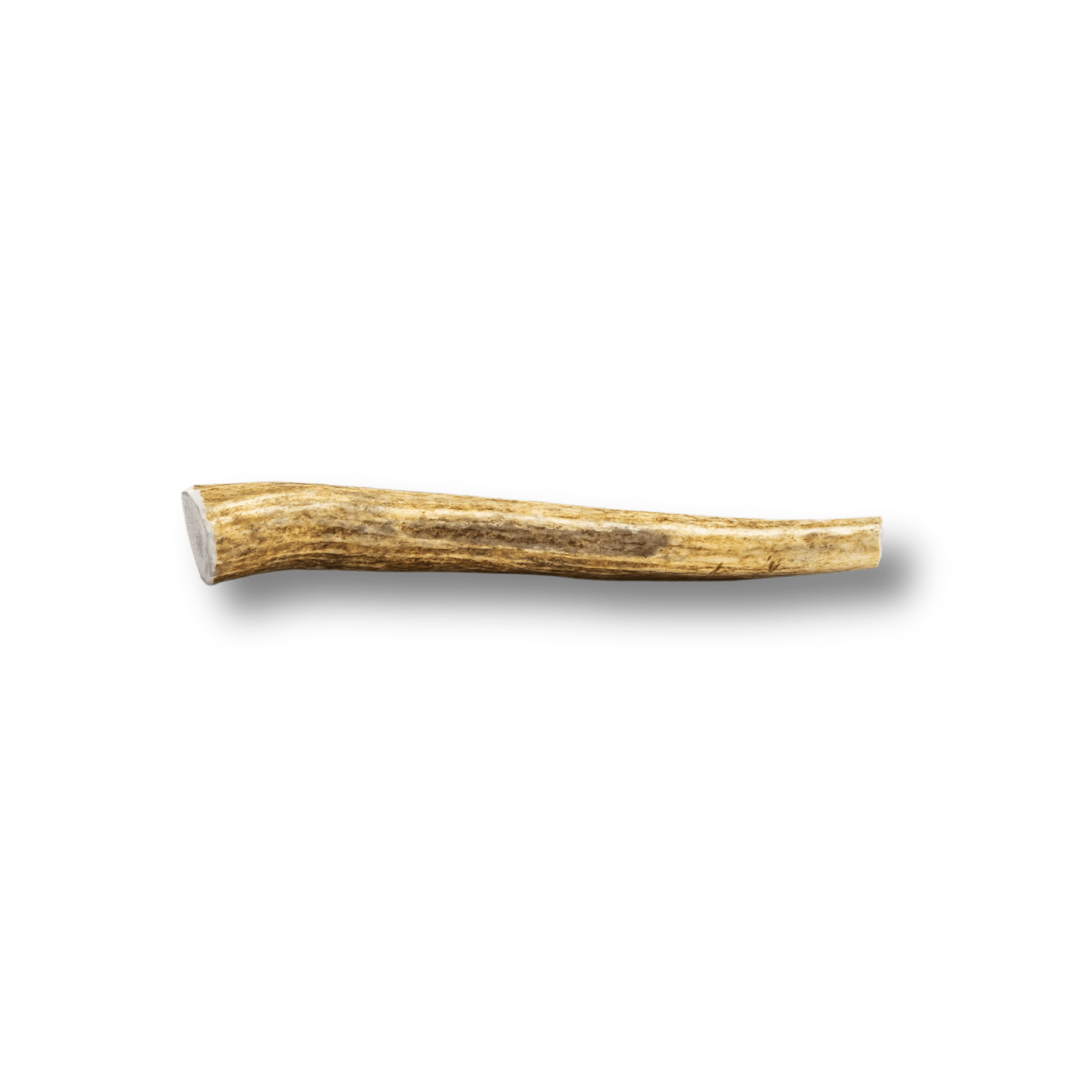 A Medium Size Farmto-pettreats Whole Elk Antler with a Light Brown Color.